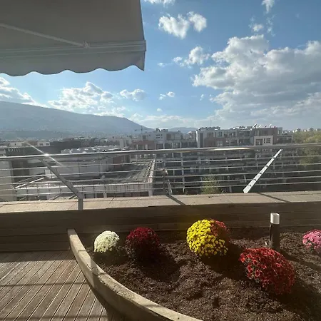 Silver * Sofia