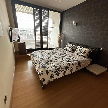 Silver Apartment Sofia